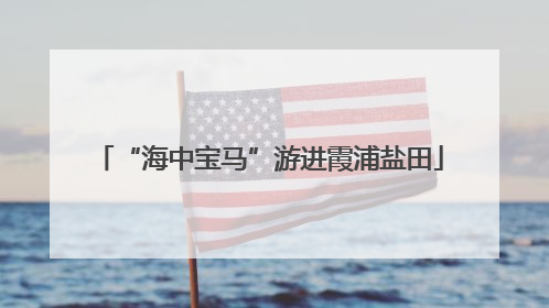 “海中宝马”游进霞浦盐田