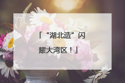 “湖北造”闪耀大湾区！