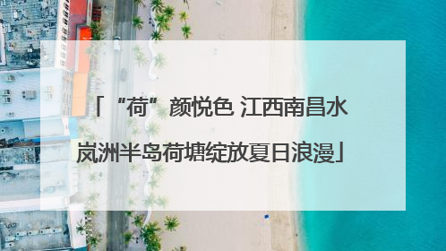 “荷”颜悦色 江西南昌水岚洲半岛荷塘绽放夏日浪漫