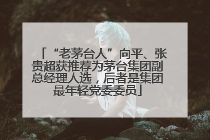 “老茅台人”向平、张贵超获推荐为茅台集团副总经理人选，后者是集团最年轻党委委员