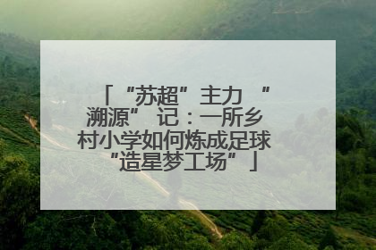 “苏超”主力 “溯源” 记：一所乡村小学如何炼成足球 “造星梦工场”