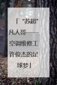 “苏超”凡人哥——空调维修工许俊杰的足球梦