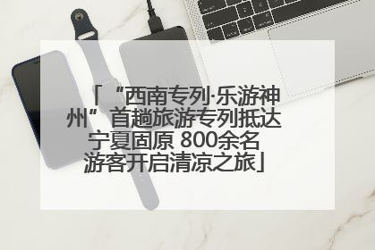 “西南专列·乐游神州”首趟旅游专列抵达宁夏固原 800余名游客开启清凉之旅