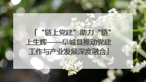 “链上党建”助力“链”上生辉——阜城县推动党建工作与产业发展深度融合