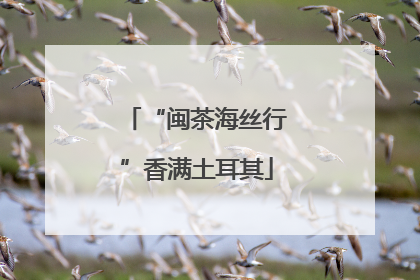 “闽茶海丝行”香满土耳其