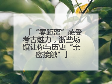 “零距离”感受考古魅力，浙些场馆让你与历史“亲密接触”