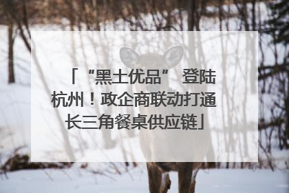 “黑土优品” 登陆杭州！政企商联动打通长三角餐桌供应链
