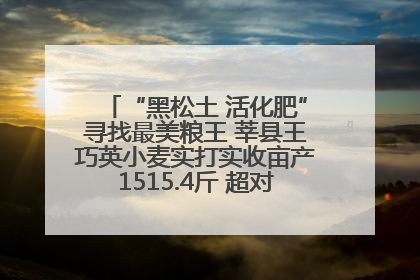 “黑松土 活化肥”寻找最美粮王 莘县王巧英小麦实打实收亩产1515.4斤 超对照田144斤！