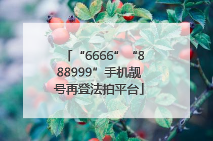 “6666”“888999”手机靓号再登法拍平台