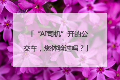 “AI司机”开的公交车，您体验过吗？