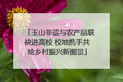 玉山非遗与农产品联袂进高校 校地携手共绘乡村振兴新图景