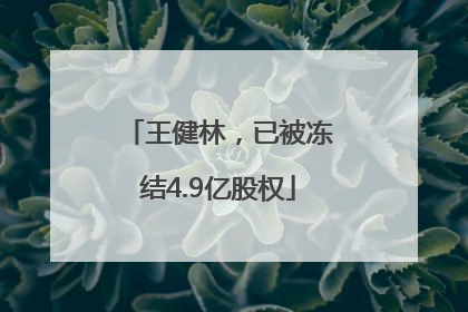 王健林，已被冻结4.9亿股权