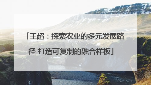 王超：探索农业的多元发展路径 打造可复制的融合样板