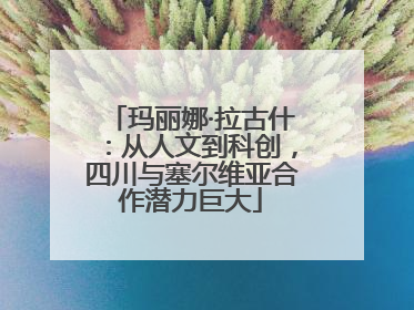 玛丽娜·拉古什：从人文到科创，四川与塞尔维亚合作潜力巨大