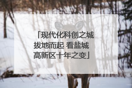 现代化科创之城拔地而起 看盐城高新区十年之变