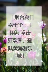 烟台夏日嘉年华：「闹海·拳击狂欢季」登陆黄海游乐城