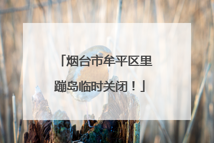 烟台市牟平区里蹦岛临时关闭！