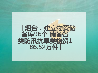 烟台：建立物资储备库96个 储备各类防汛抗旱类物资186.52万件