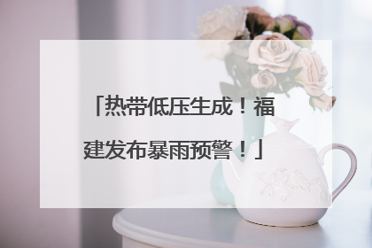 热带低压生成！福建发布暴雨预警！