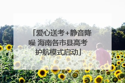 爱心送考+静音降噪 海南各市县高考护航模式启动