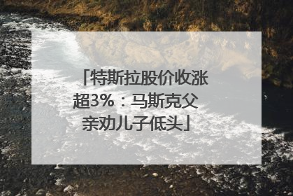 特斯拉股价收涨超3%：马斯克父亲劝儿子低头