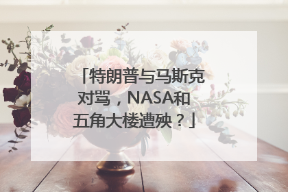 特朗普与马斯克对骂，NASA和五角大楼遭殃？