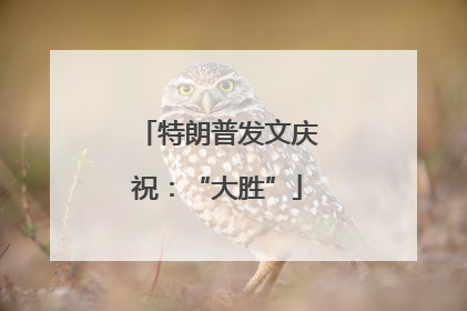 特朗普发文庆祝：“大胜”