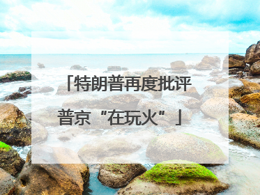 特朗普再度批评普京“在玩火”
