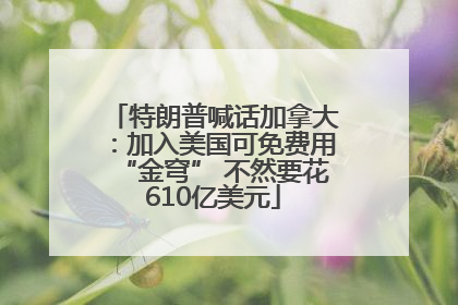 特朗普喊话加拿大：加入美国可免费用“金穹” 不然要花610亿美元