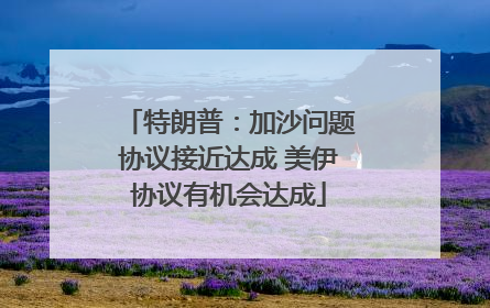 特朗普：加沙问题协议接近达成 美伊协议有机会达成