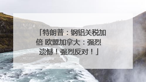特朗普：钢铝关税加倍 欧盟加拿大：强烈遗憾！强烈反对！