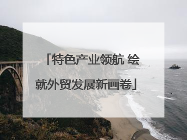 特色产业领航 绘就外贸发展新画卷