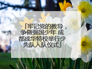 牢记党的教导，争做强国少年 成都成华特校举行少先队入队仪式