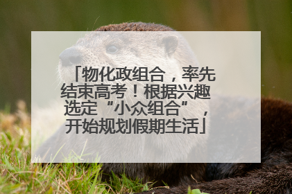 物化政组合，率先结束高考！根据兴趣选定“小众组合”，开始规划假期生活