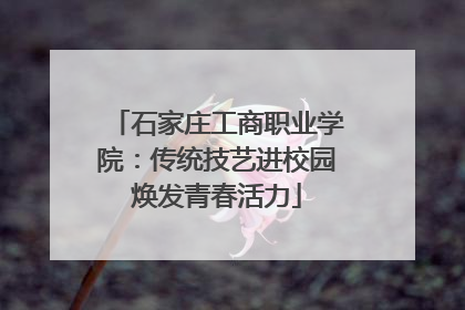 石家庄工商职业学院：传统技艺进校园焕发青春活力
