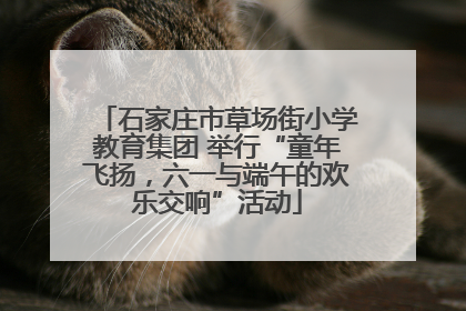石家庄市草场街小学教育集团 举行“童年飞扬，六一与端午的欢乐交响”活动