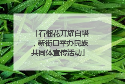 石榴花开耀白塔，新街口举办民族共同体宣传活动