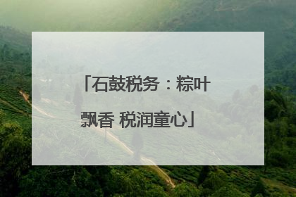 石鼓税务：粽叶飘香 税润童心