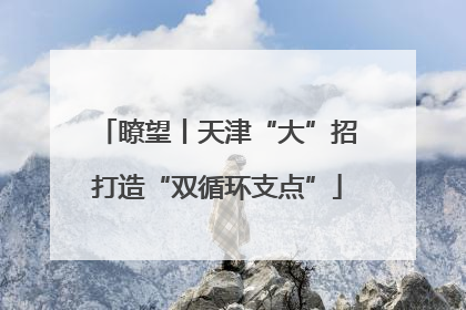 瞭望丨天津“大”招打造“双循环支点”