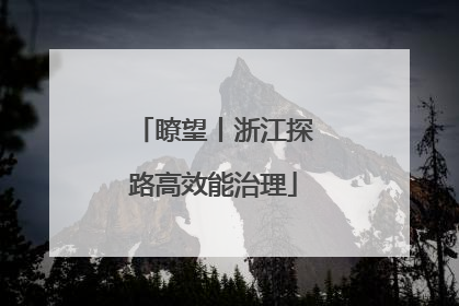 瞭望丨浙江探路高效能治理