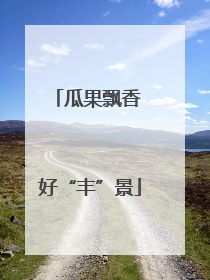 瓜果飘香 好“丰”景