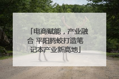 电商赋能，产业融合 平阳腾蛟打造笔记本产业新高地