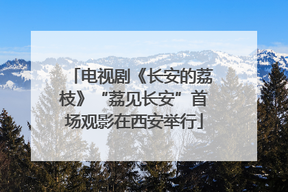 电视剧《长安的荔枝》“荔见长安”首场观影在西安举行