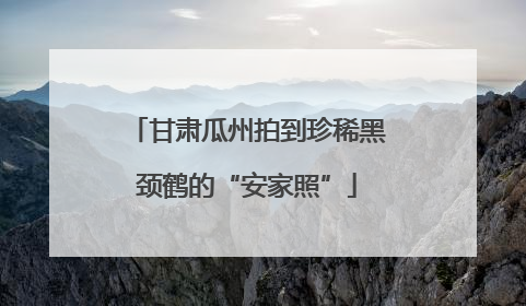甘肃瓜州拍到珍稀黑颈鹤的“安家照”