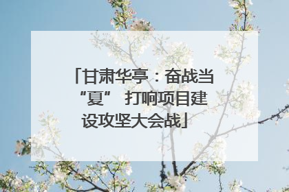 甘肃华亭：奋战当“夏” 打响项目建设攻坚大会战