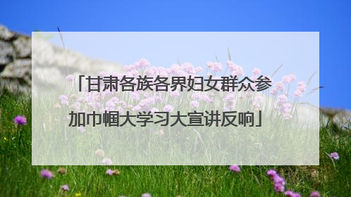 甘肃各族各界妇女群众参加巾帼大学习大宣讲反响