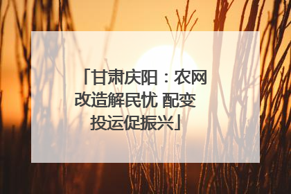 甘肃庆阳：农网改造解民忧 配变投运促振兴