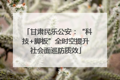 甘肃民乐公安：“科技+脚板”全时空提升社会面巡防质效