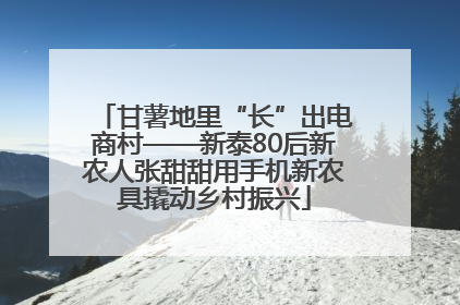 甘薯地里“长”出电商村——新泰80后新农人张甜甜用手机新农具撬动乡村振兴