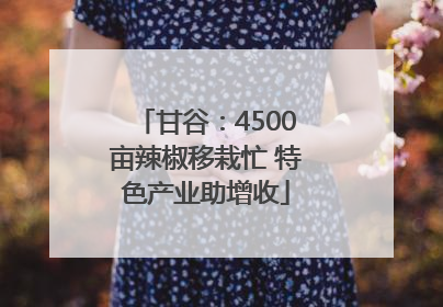 甘谷：4500亩辣椒移栽忙 特色产业助增收